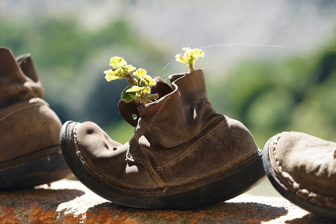 Photo shoe care