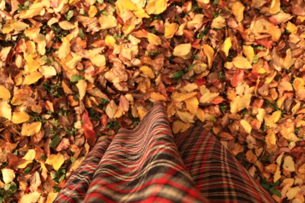 Photo fall fashion